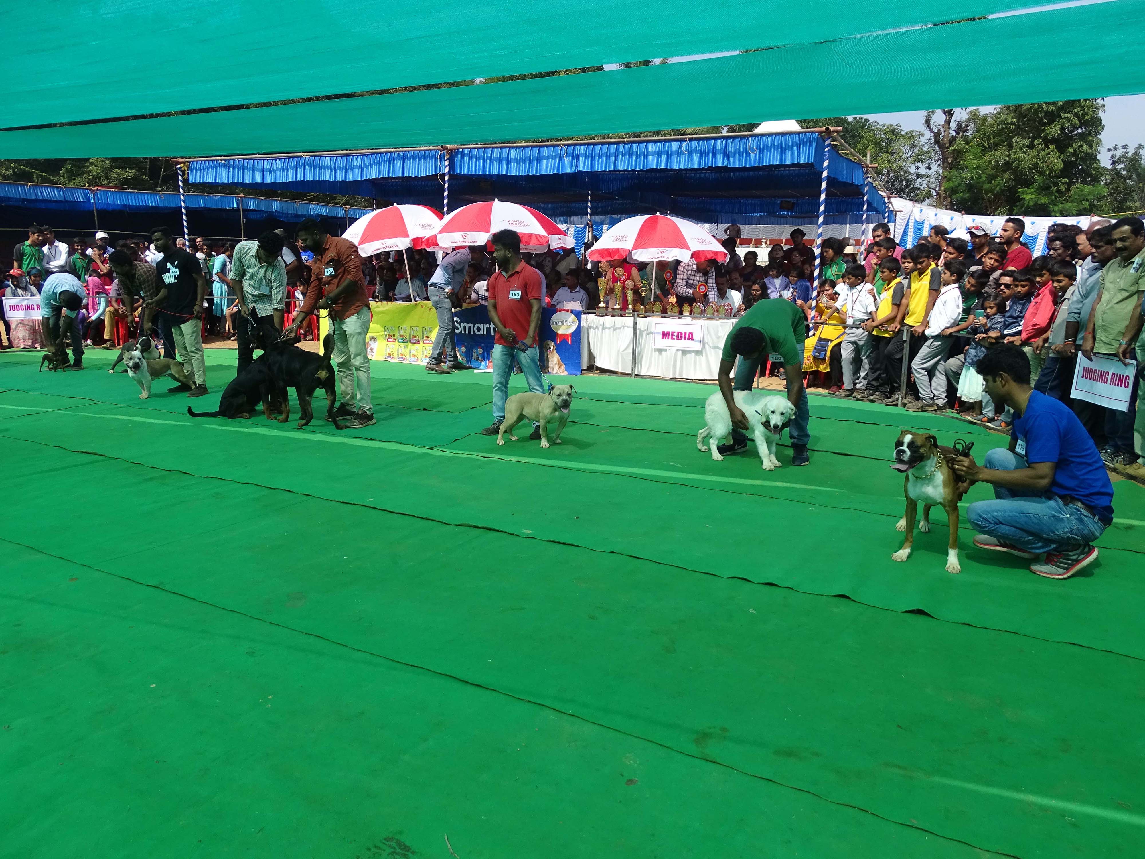 Dog show organised by Kodagu kennel club Pollibetta (R) in association with Kodagu and ICAR-KVK Gonikoppal